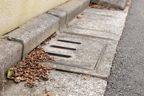 道路側溝のふたに詰まった枯れ葉　落ち葉　秋　イメージ