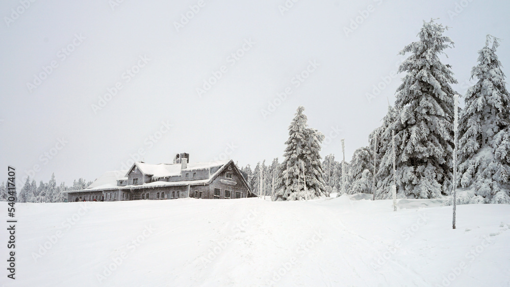 Winter mountain landscape in Giant Mountains, trees in deep snow and low visibility, mountain hut on background, popular backcountry and cross country skiing area