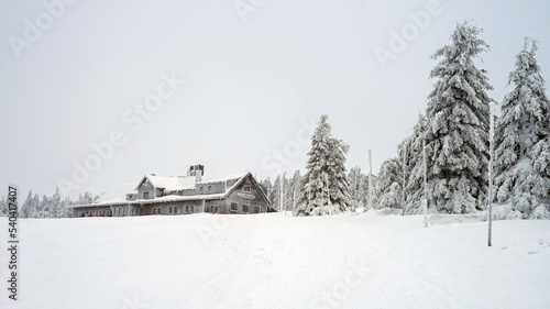 Obraz na płótnie Winter mountain landscape in Giant Mountains, trees in deep snow and low visibility, mountain hut on background, popular backcountry and cross country skiing area w salonie