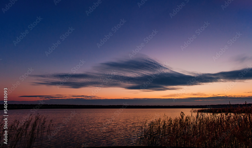 Fototapeta premium Calm light autumn sunset on the shore of the lake. With a plume cloud. In blue and red tones. The edge of the lake with a forest on the horizon.