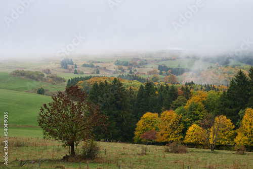 Herbstlandschaft