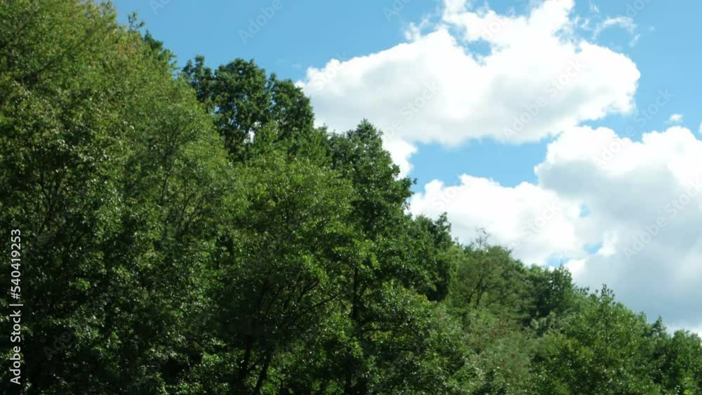 White fluffy clouds float across the blue sky over the forested mountains, time lapse White fluffy clouds float across the blue sky over the forested mountains, time lapse