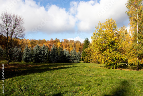 Autumn landscape. Blue sky with white clouds on a sunny autumn day.