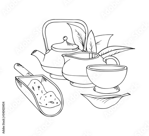 Vector hand drawn herbal tea illustration. Decorative inking doodle elements