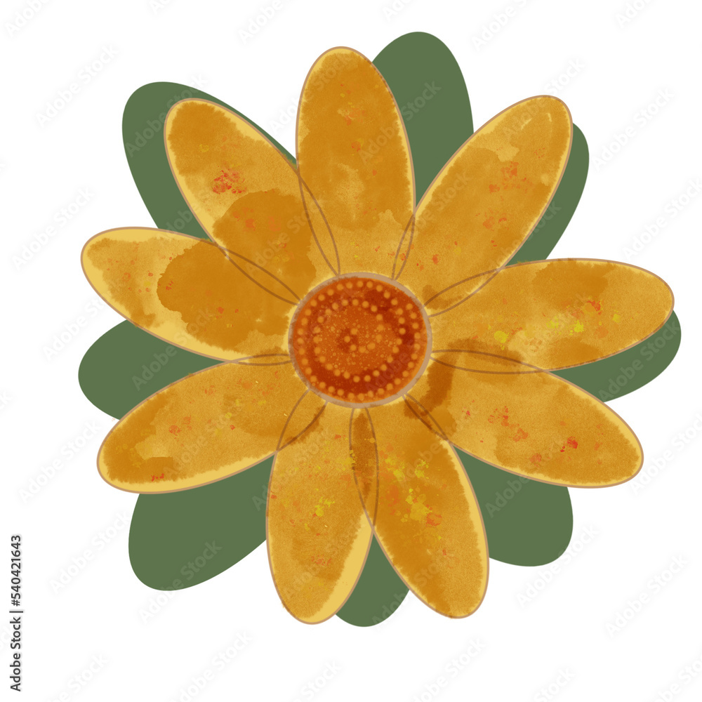 orange flower isolated on white background orange flower isolated on white background