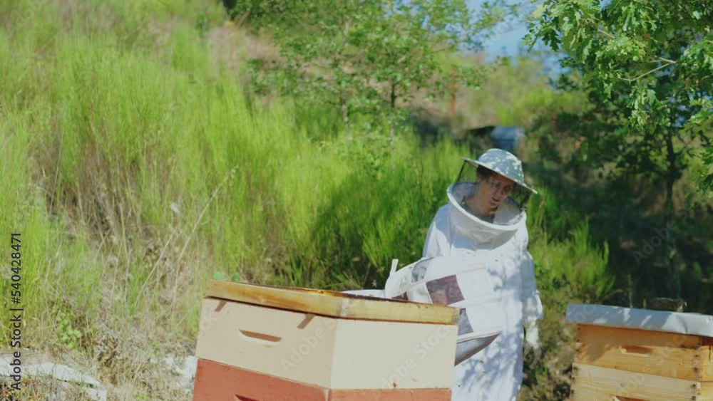 Beekeeper and assistant working in a hive Beekeeper and assistant working in a hive
