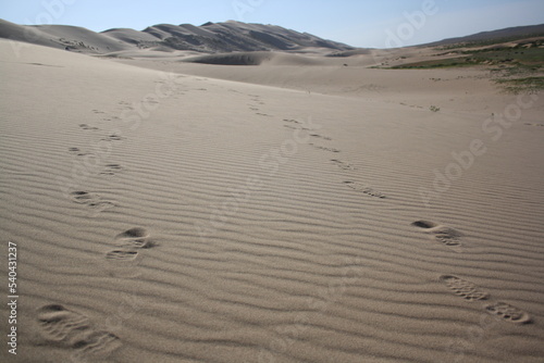 Footprints on Khongor Sand Dunes, Gobi Desert, Umnugovi province, Mongolia. The silent sand dunes may reach up to 120 kilometers (70 miles) away. There are many nomadic families around the dunes. 