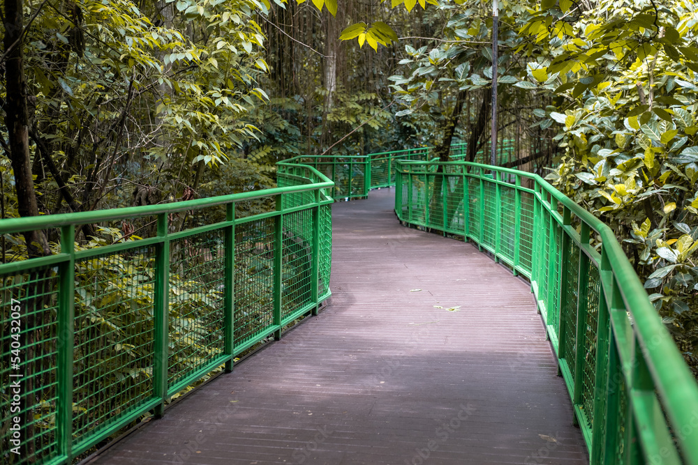 Sky Walk in Babakan Siliwangi City Forest Bandung, West Java, Indonesia