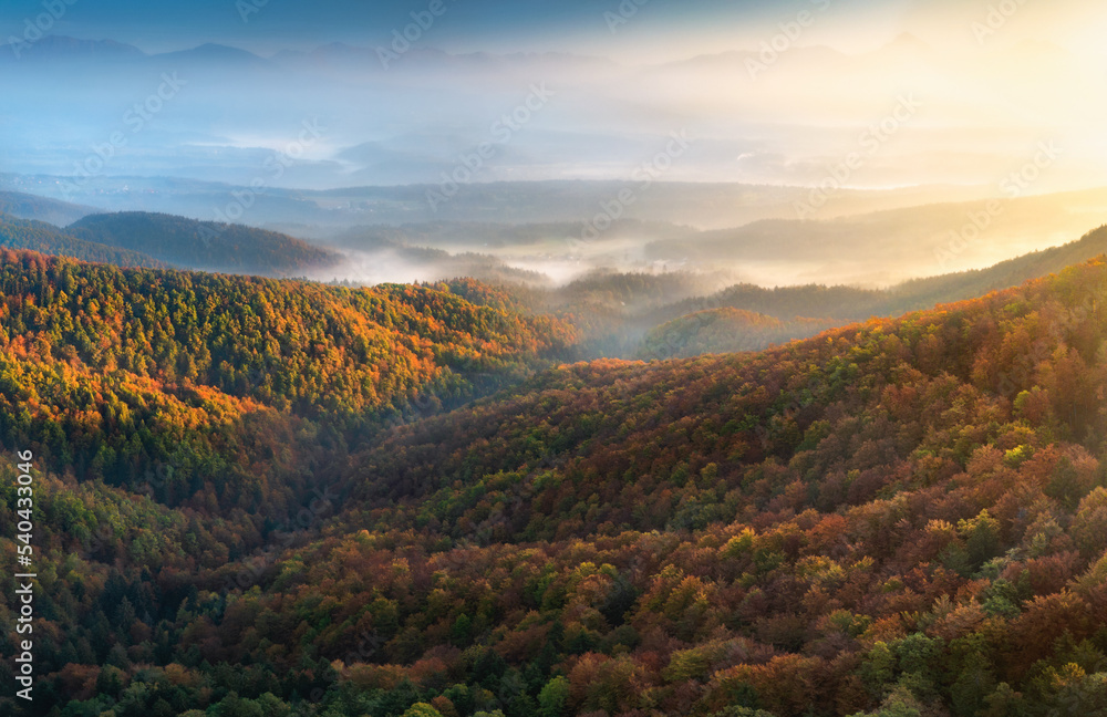 Aerial view beautiful autumn landscape with colorful trees, grassy meadows and mountains at dawn top view. Sunny nature scenery, Slovenia