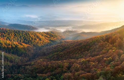 Aerial view beautiful autumn landscape with colorful trees, grassy meadows and mountains at dawn top view. Sunny nature scenery, Slovenia © kucherav