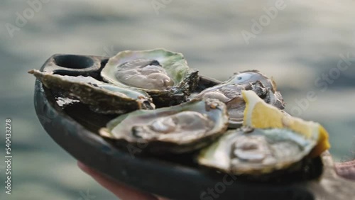 close-up of oysters cooked by the chef on a wooden tray with lemon on the background of the sea. Seafood delicacies. Delicious oysters grown on an oyster farm.