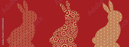 Cute Chinese bunny. The Chinese new year 2023 - the year of the rabbit. Happy Chinese New Year 2023. Lunar new year. 