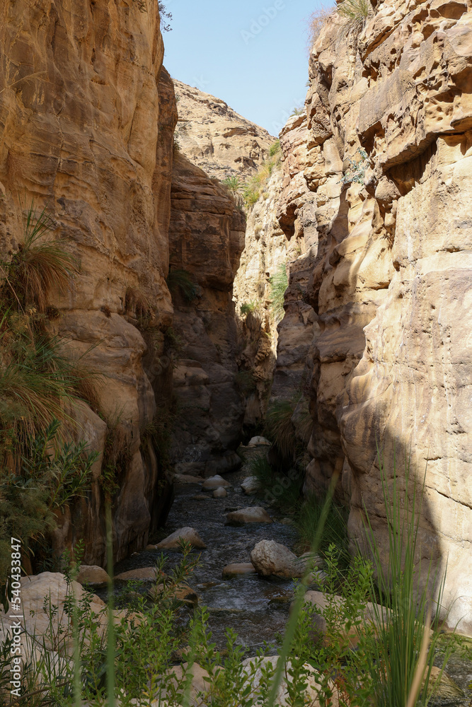 wadi bin hammad tropical rain forest trail in a canyon wadi bin hammad tropical rain forest trail in a canyon