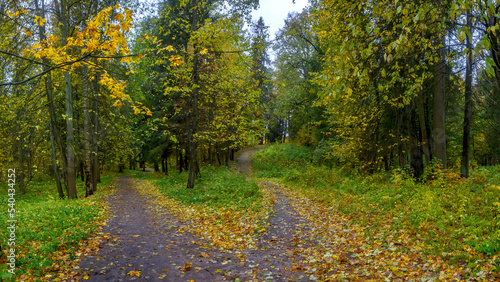 Fototapeta Naklejka Na Ścianę i Meble -  Landscapes of the Shuvalovsky Park in St. Petersburg in cloudy autumn weather.