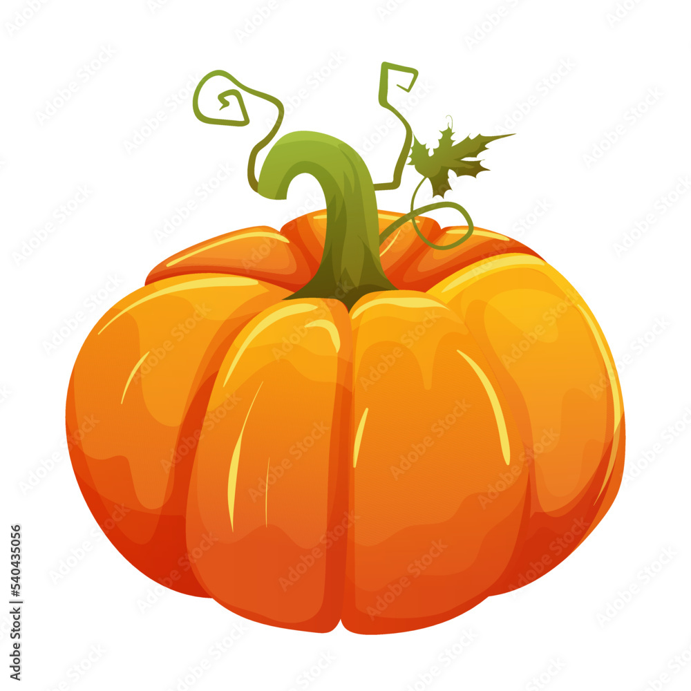 Obraz premium Pumpkin with green leaf isolated on white background. Ripe orange pumpkin, healthy diet vegetable. Autumn harvest festival, thanksgiving day. Traditional decoration for Halloween. Vector illustration