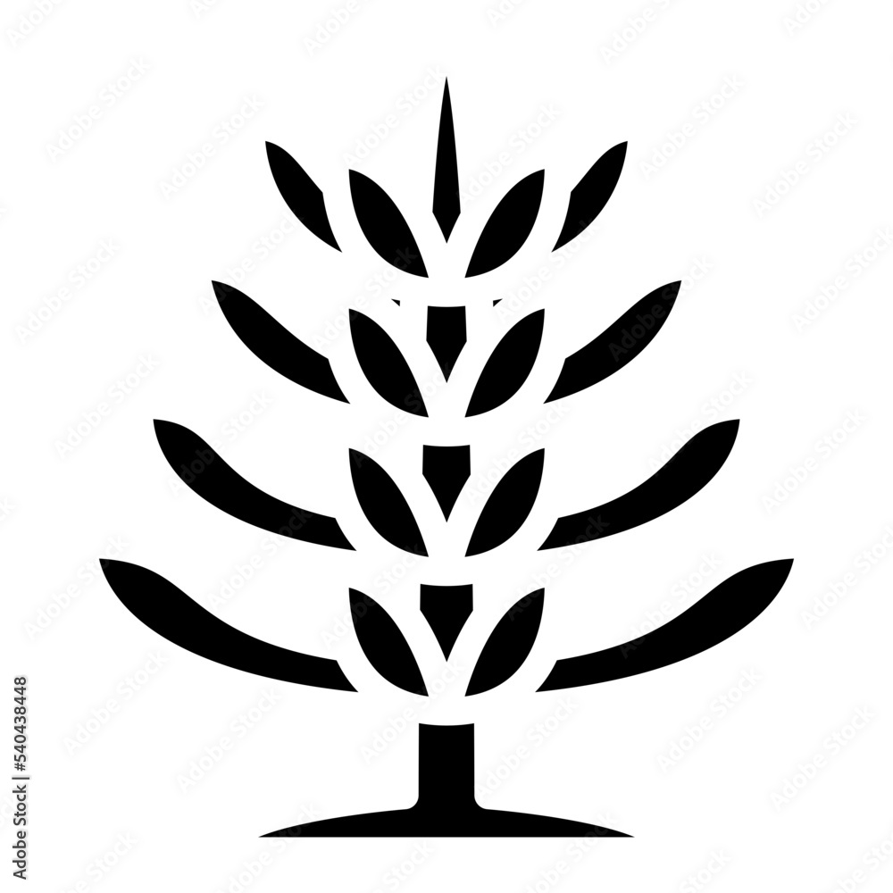 tree plant nature forest tree plant nature forest