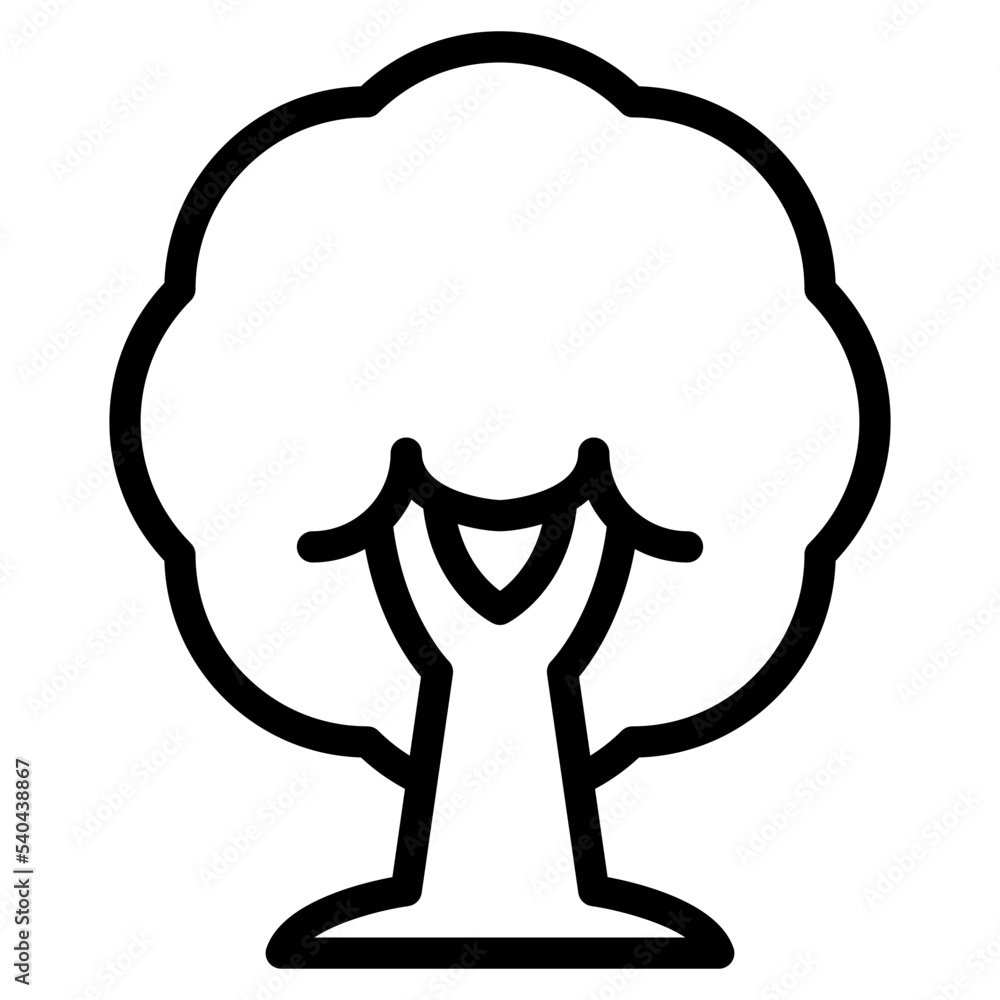 tree plant nature forest