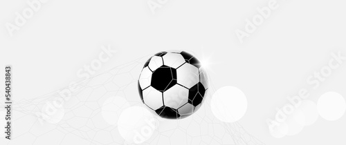 Soccer ball in the goal. Football in the net on white background. Soccer goal. Vector illustration