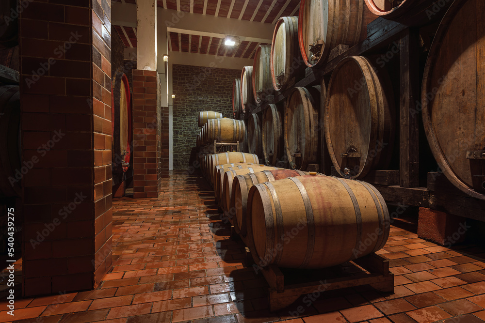 Old oak barrel rows in an authentic wine cellar of the french traditional winery
