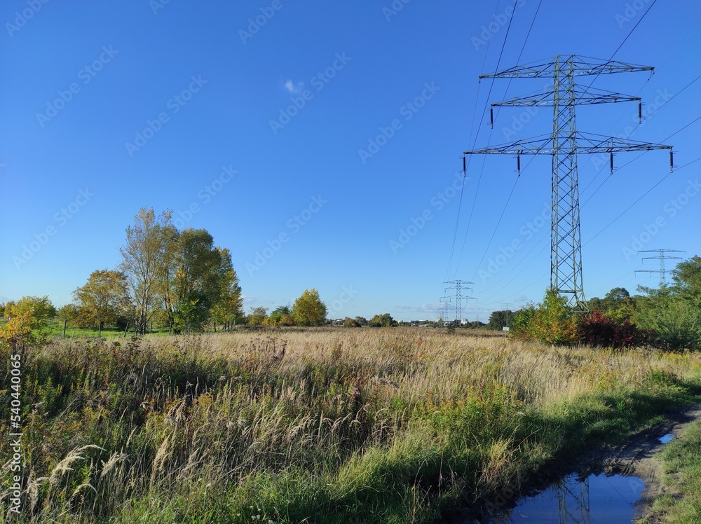 wasteland in the autumn sun, plain, trees, blue sky, road and electricity pylons wasteland in the autumn sun, plain, trees, blue sky, road and electricity pylons