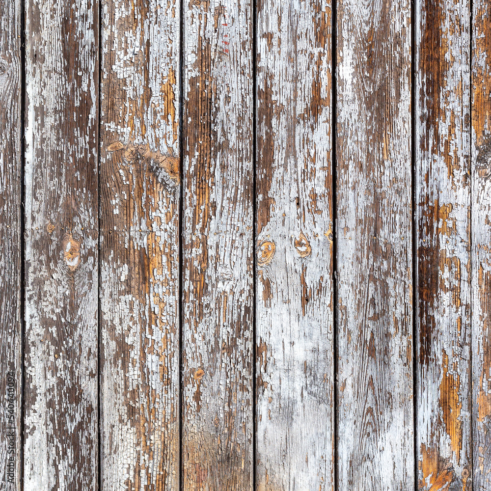 Obraz premium The white wood texture with natural patterns background