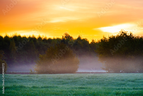 fog on sunrise
