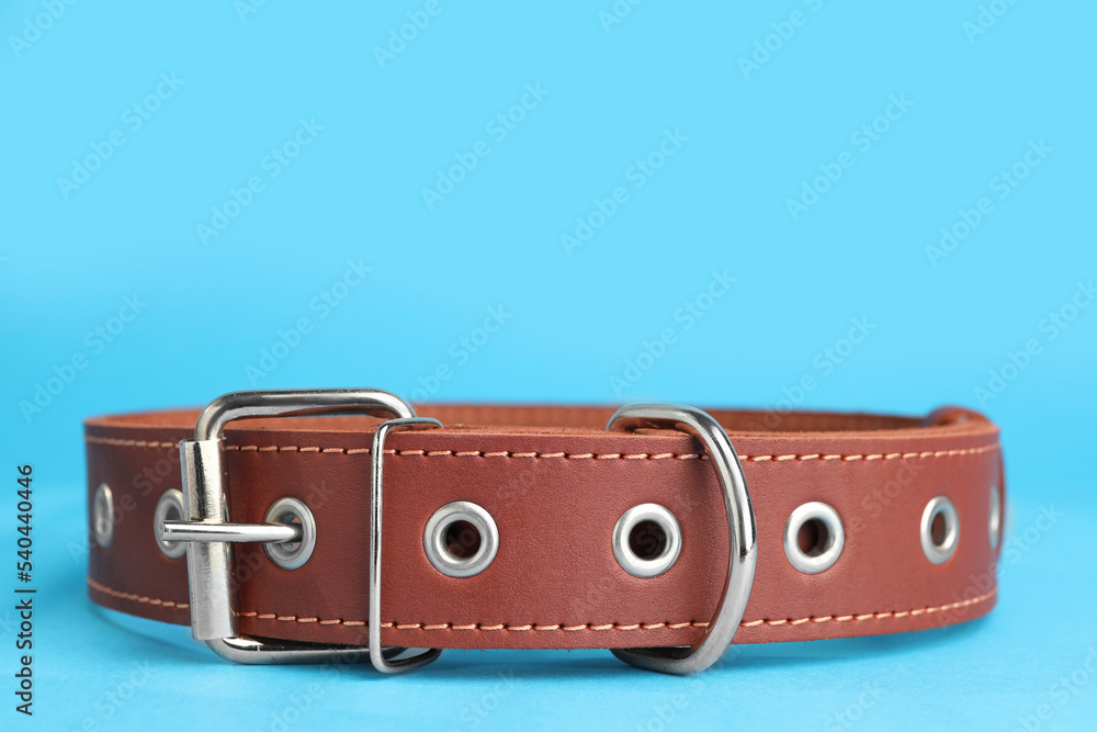 Brown leather dog collar on light blue background, closeup. Space for text Brown leather dog collar on light blue background, closeup. Space for text