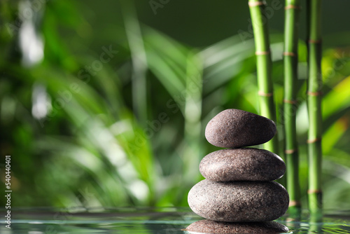 Stacked stones on water surface against bamboo stems and green leaves. Space for text