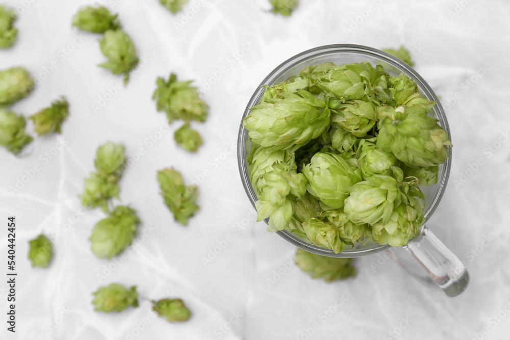 Glass mug with fresh green hops on light grey marble table, flat lay. Space for text Glass mug with fresh green hops on light grey marble table, flat lay. Space for text