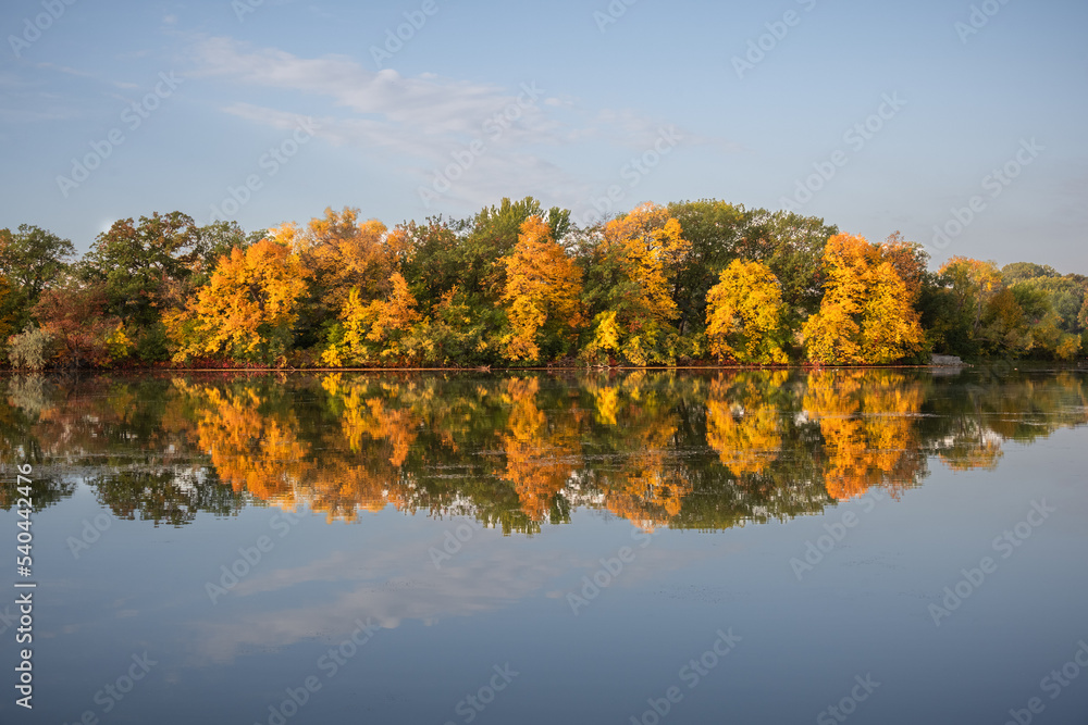 autumn trees reflected in water