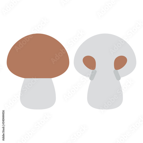 mushroom healthy food diet vegan