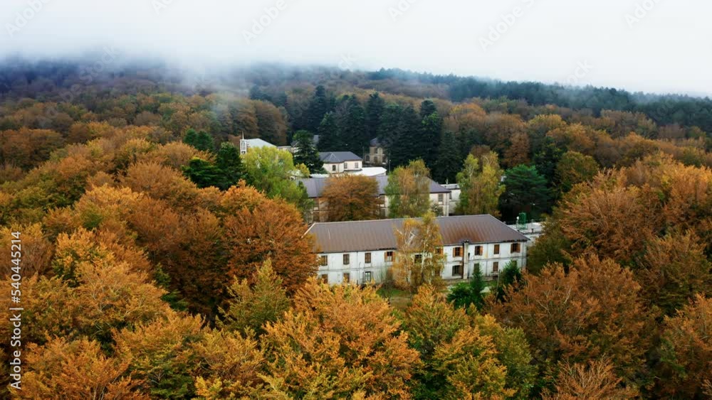 House surrounded by trees with autumn colors House surrounded by trees with autumn colors