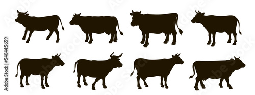 Animal silhouettes, cow. Vector illustration, black and white illustration.