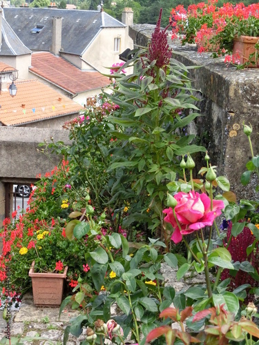 Verwunschene Ecke mit Blume