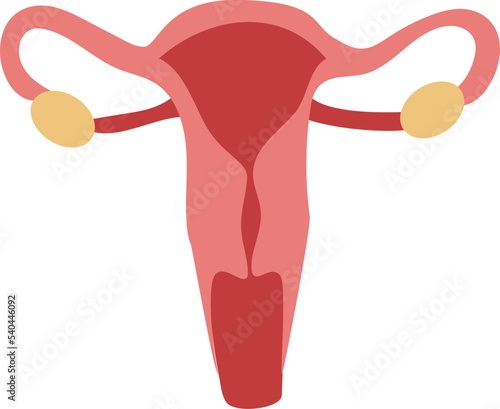 human organ body, lungs, ears, heart, kidney, ovarium, vagina, intestine, stomach, liver