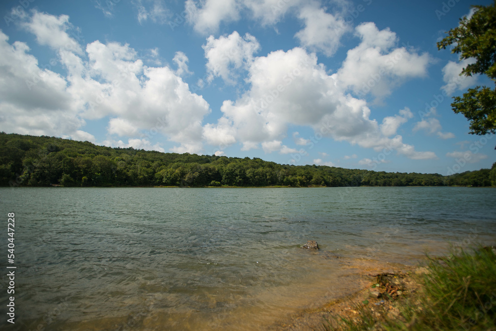 water, nature, clouds, summer, forest, lake