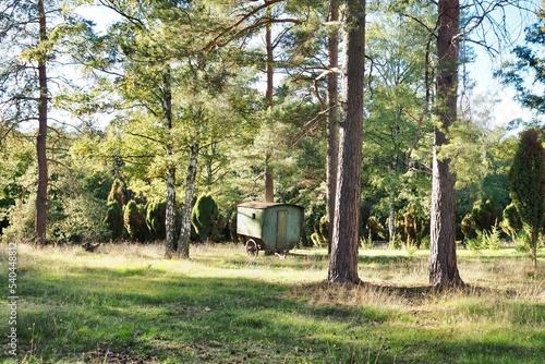 a bench in the park