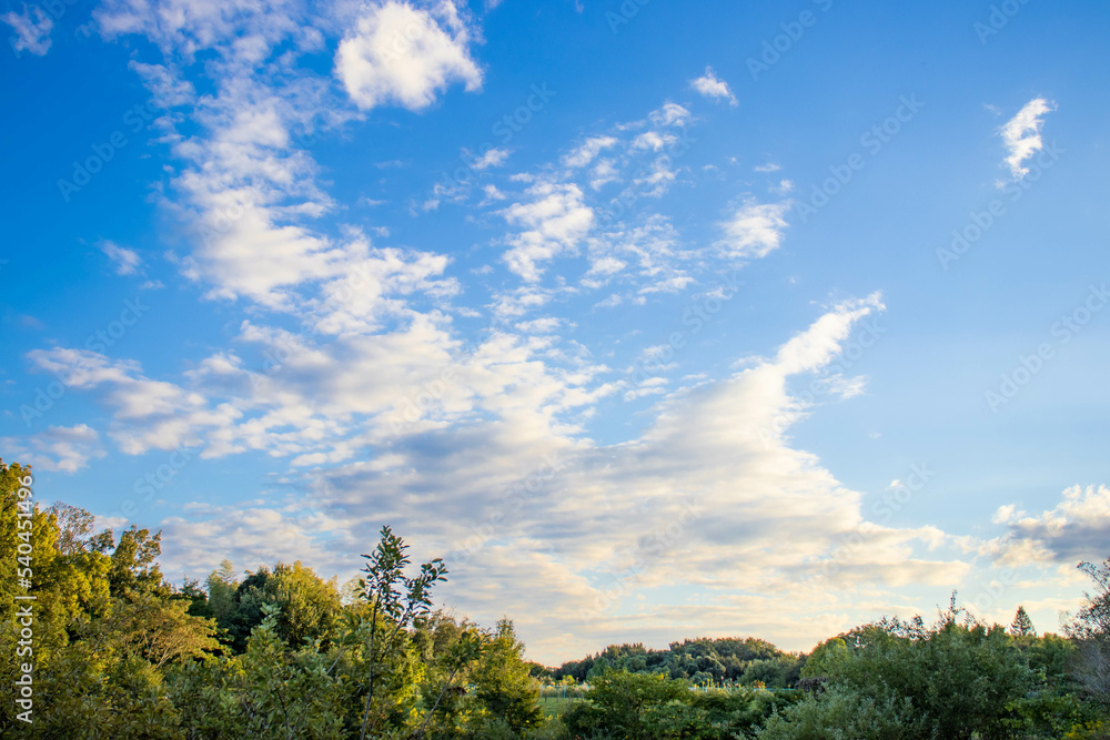 Obraz premium 青空