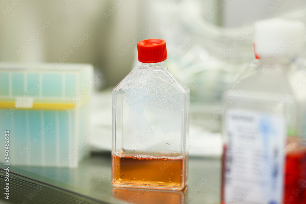 cell culture at the medicine and cell culture laboratory cell culture at the medicine and cell culture laboratory