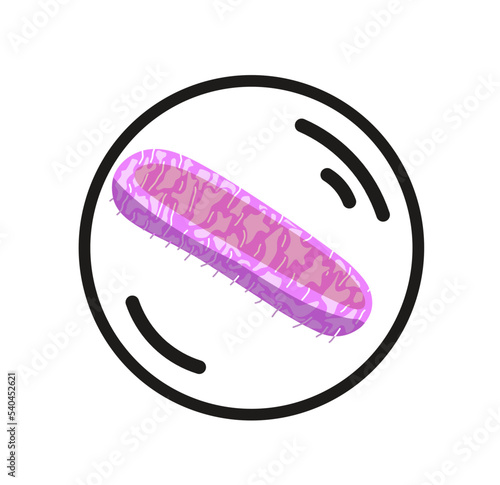 Legionella bacteria vector. Bacterium legionella illustration isolated on white background. Bacterial Legionnaires disease concept. 
