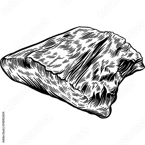 Hand drawn Beef Brisket Raw Meat Sketch Illustration
