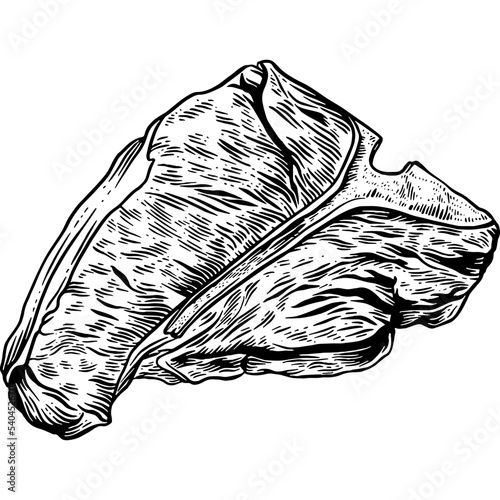 Hand drawn Beef T-bone Steak Raw Meat Sketch Illustration