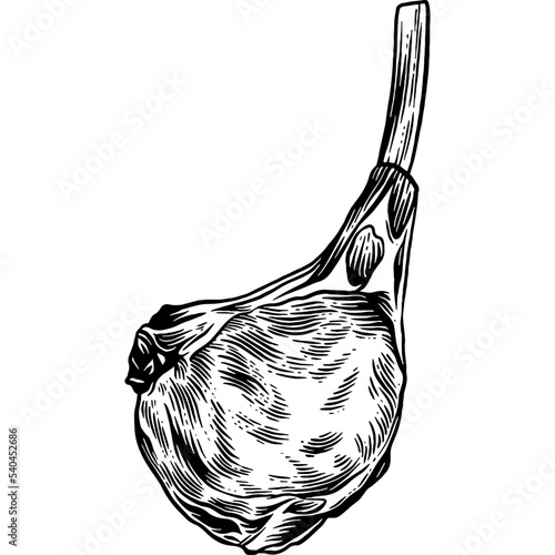 Hand drawn Lamb Chop Raw Meat Sketch Illustration