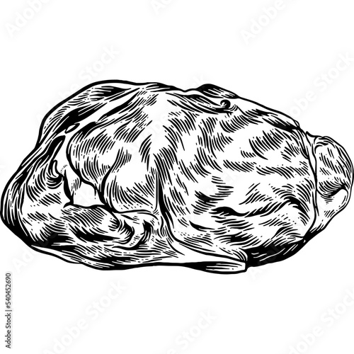 Hand drawn Beef Sirloin Steak Raw Meat Sketch Illustration
