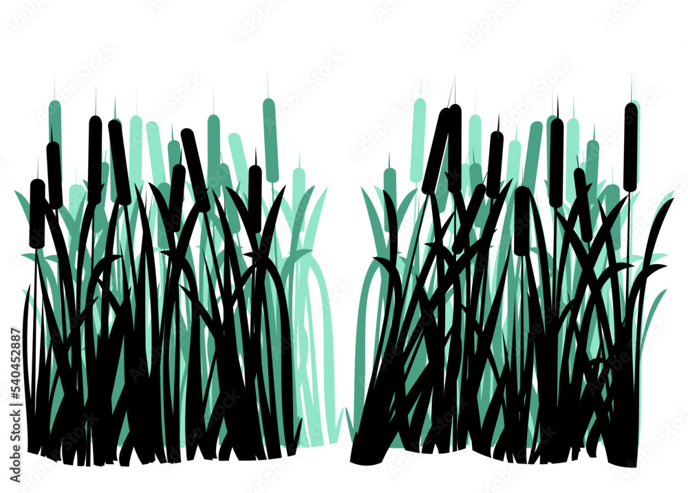 Path in coastal reeds. Swamp landscape. View of the river bank. Silhouette picture. Isolated on white background. Vector. - obrazy, fototapety, plakaty 