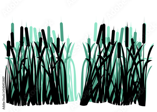 Path in coastal reeds. Swamp landscape. View of the river bank. Silhouette picture. Isolated on white background. Vector.