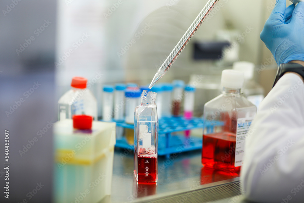 cell culture at the laboratory cell culture at the laboratory