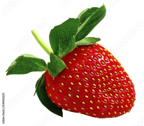 Erdbeere - isoliert photo