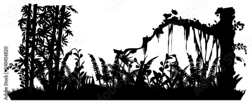 Bamboo and fern. Jungle rainforest. Nature landscape silhouette. Dense tropical thickets. Isolated on white background. Vector.