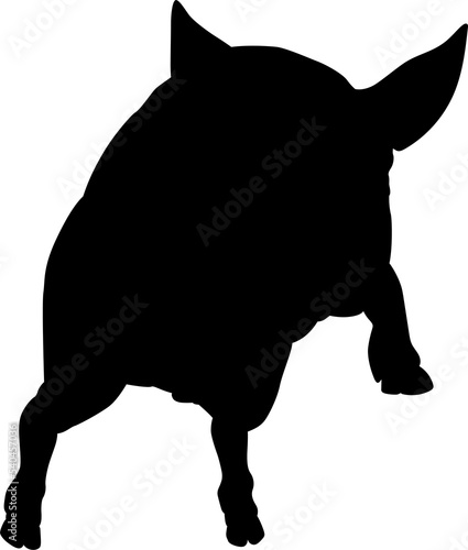 Pig Silhouette Farm Animal